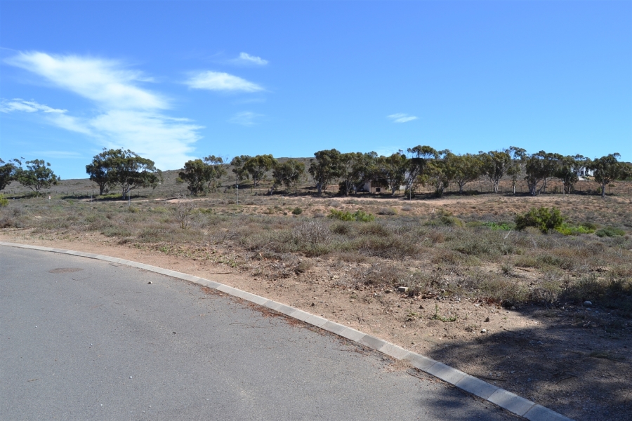 0 Bedroom Property for Sale in Steenbergs Cove Western Cape